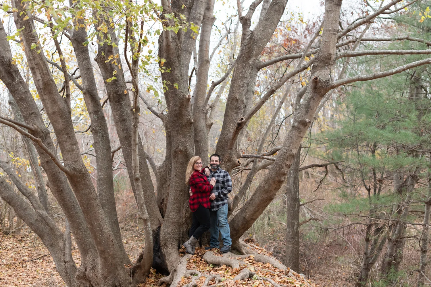DSC_7924.jpg
