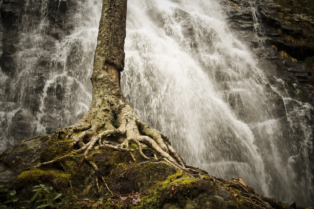 Web crabtree falls05.jpg