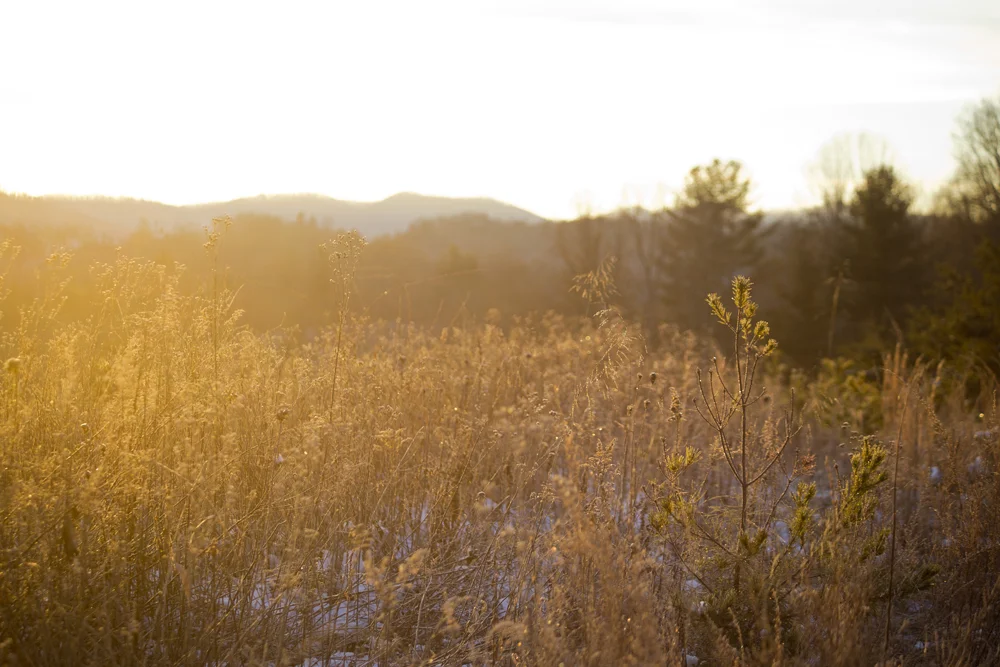 Web sunrise on the hill 07.jpg