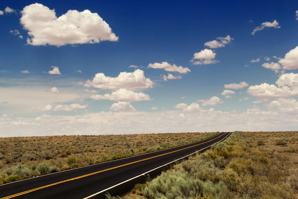 Web painted desert 008.jpg