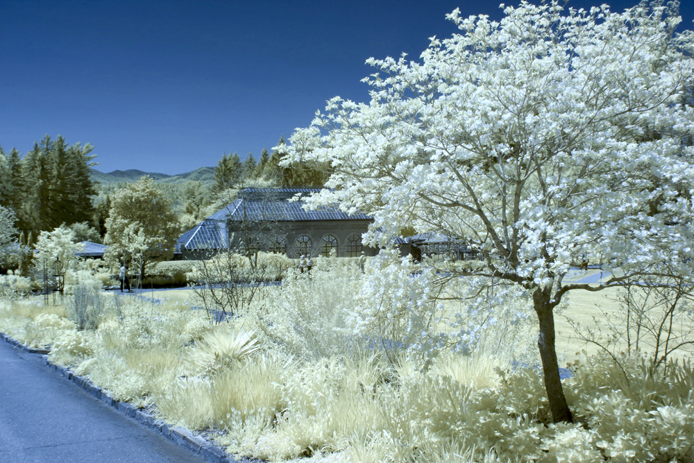 Web Biltmore Infrared (25).jpg