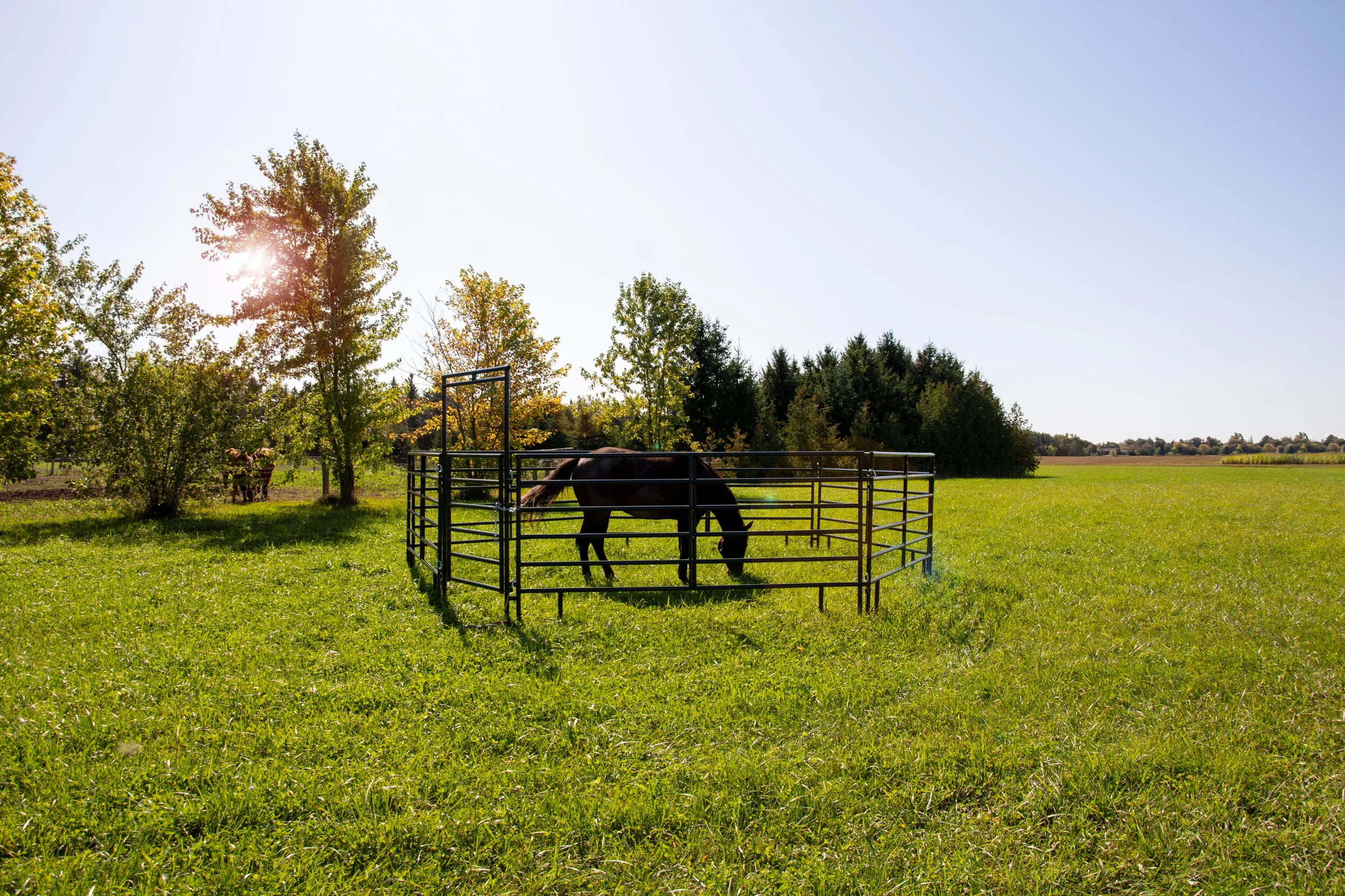 Farm & Ranch Corrals — True North Utility Gates