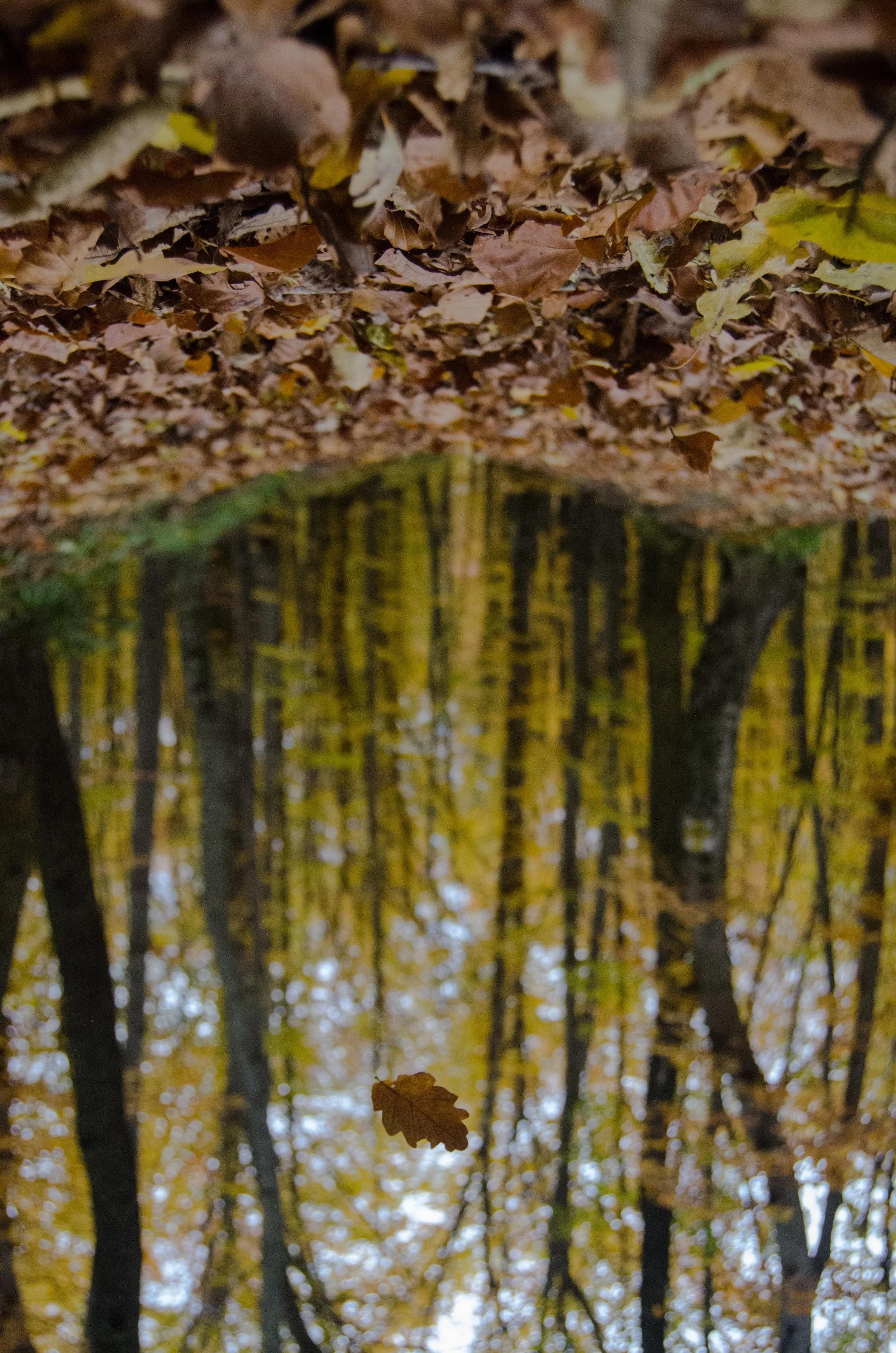 What to Do When the In-Between Feels Like the Upside-Down
