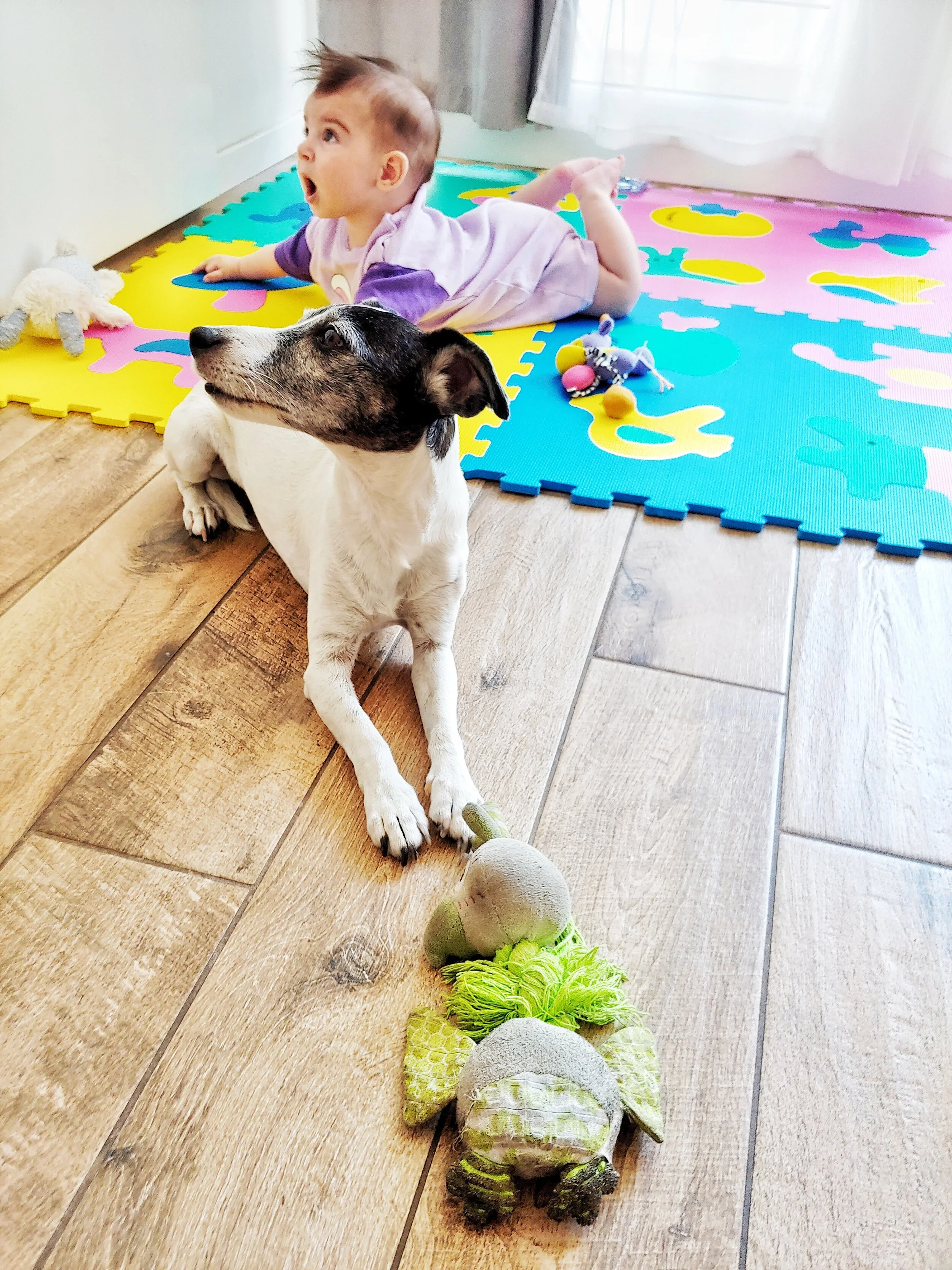 Can a Toy Teach a Kid How to be a Successful Adult?