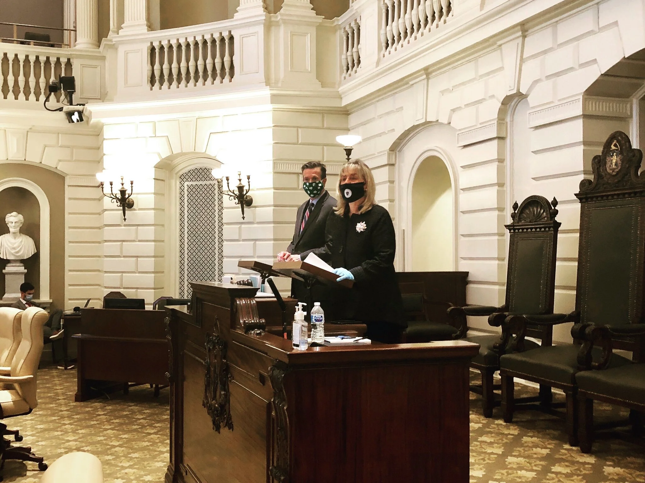 Senate Passes Legislation Authorizing Short-Term Borrowing During Historic Remote Session