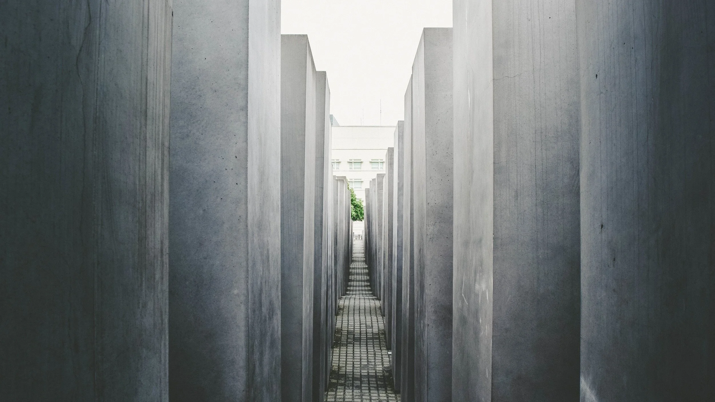 Senate Passes Genocide Education Bill