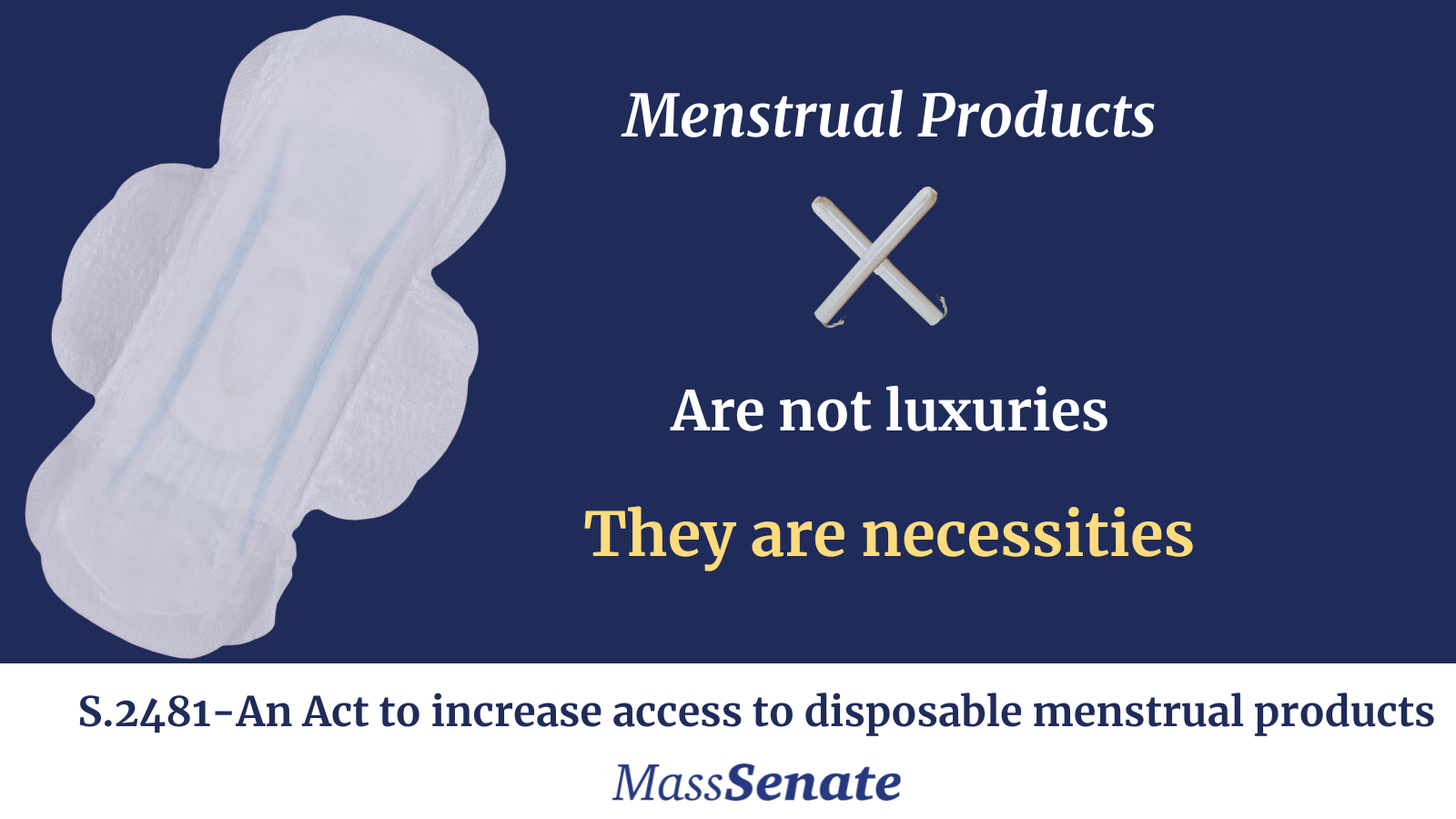 Senate votes for historic expansion of access to menstrual products