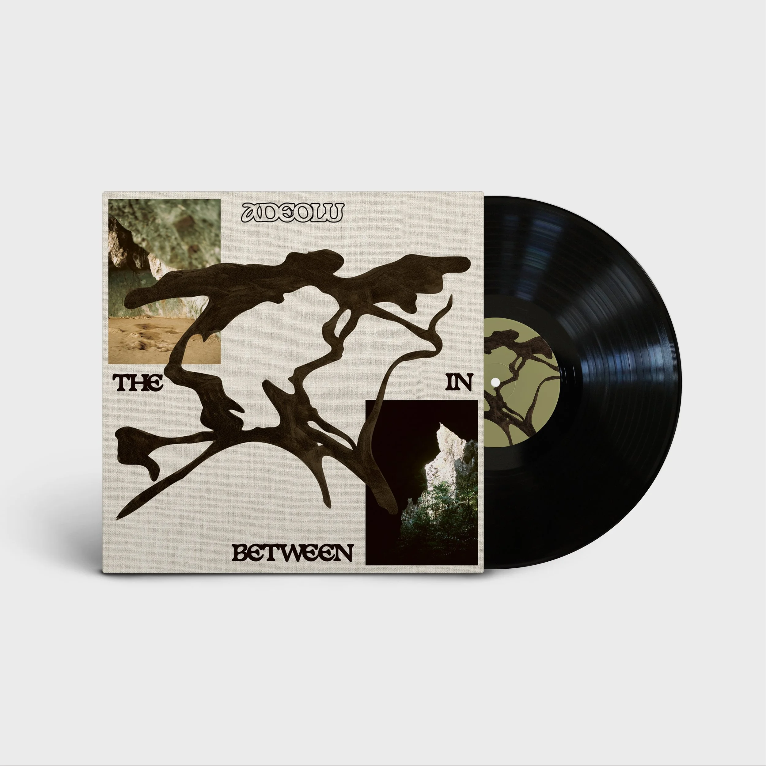 Vinyl Record_ADEOLU FIXED2.jpg