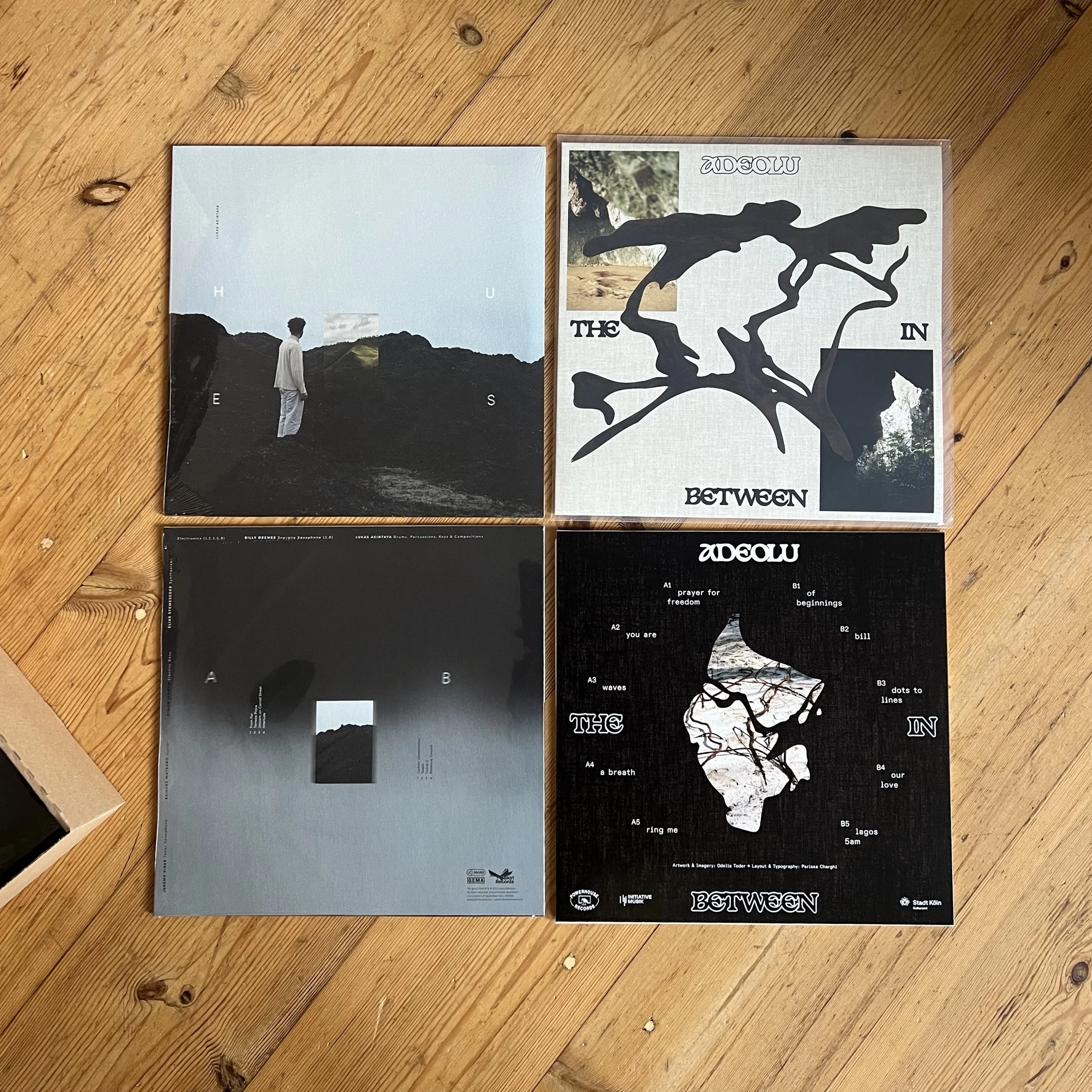 Holiday special 🌿 The In Between & Hues