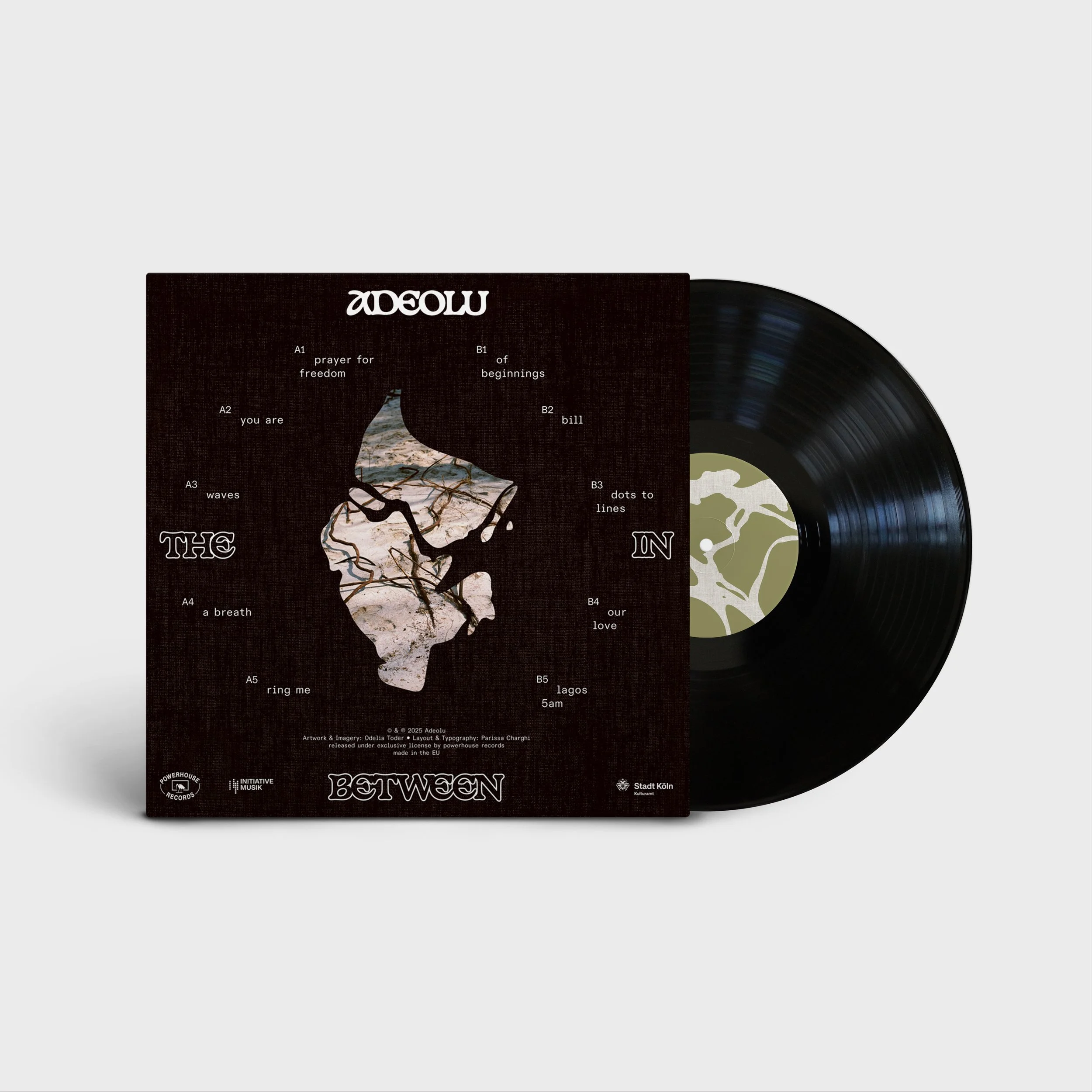 Vinyl Record_ADEOLU FIXED.jpg