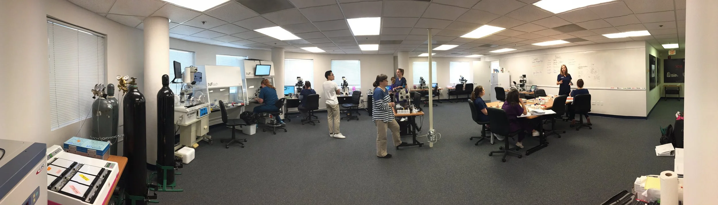 Latest Teaching Experience at the OvaTools Training Institute for Andrology and Embyology