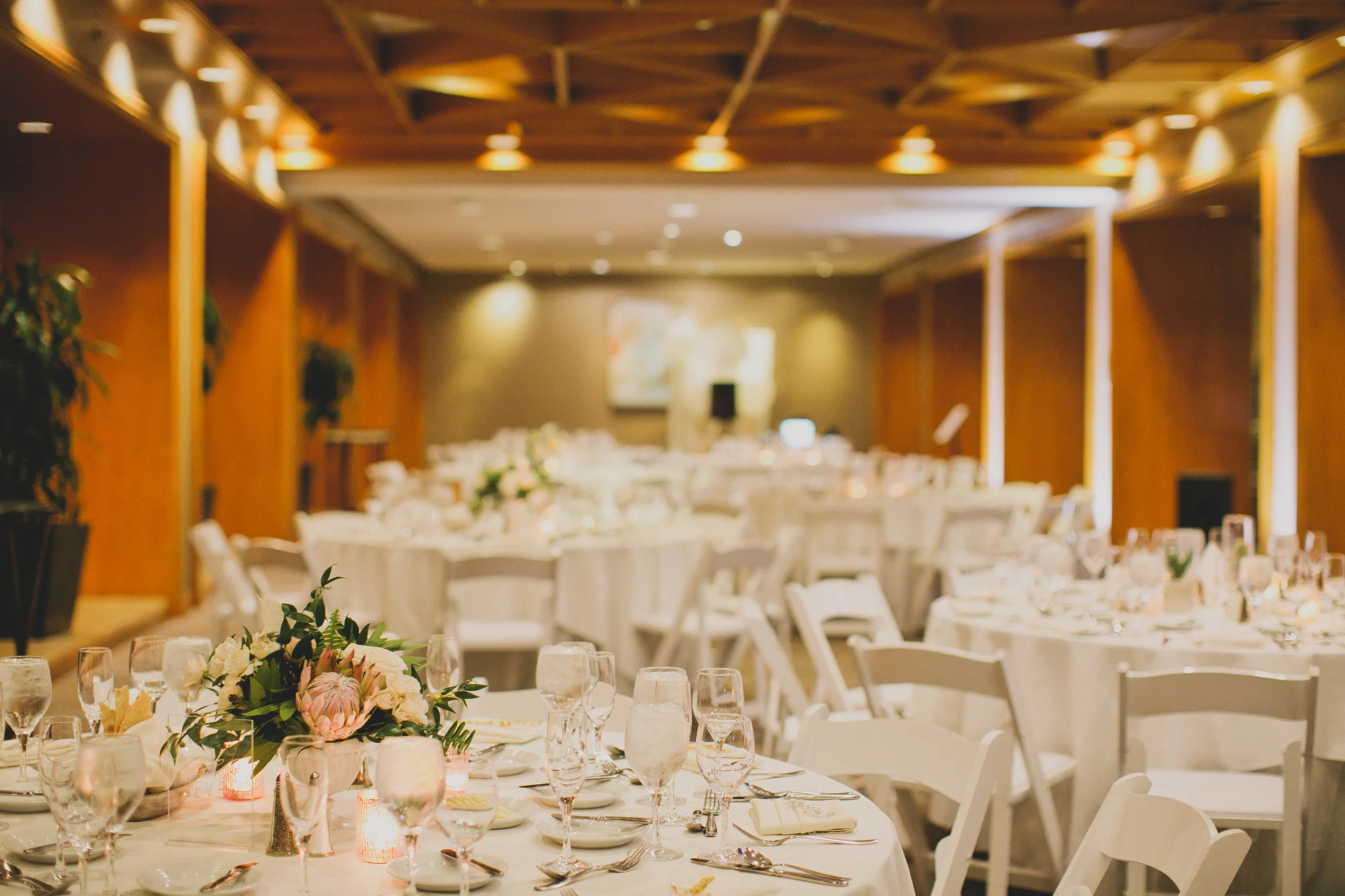 MargoJeff_Wedding_KatiePritchard-615.jpg