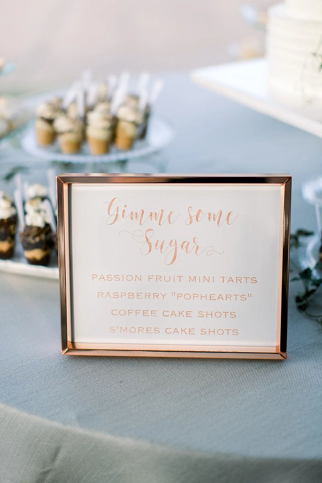 Kelsey+DaveWeddingPhotos-PetulaPeaPhotography526.jpg