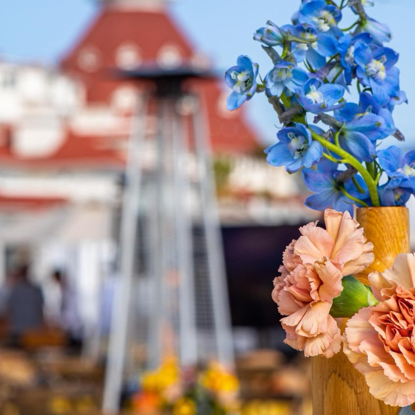 Transforming ordinary moments into extraordinary memories with a splash of floral flair. 

DMC Partner | @360dg_sandiego @360dgdmc 
Floral Design | @sevenstems 
Venue | @delcoronado 
Photography | @bestudios_sd 

#floraldesign #floraldesigner #design