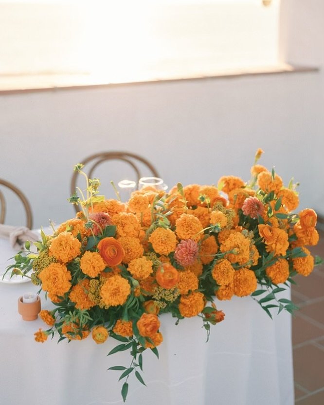 Basking in the golden glow of love 💛🧡 #MarigoldMagic

Floral Design &amp; Planning | @sevenstems 
Photography | @justincritzphotography 
Venue | @olehansonbeachclub 

#weddingdesign #weddinginspo #weddinginspiration #floraldesigner #floraldesign #c