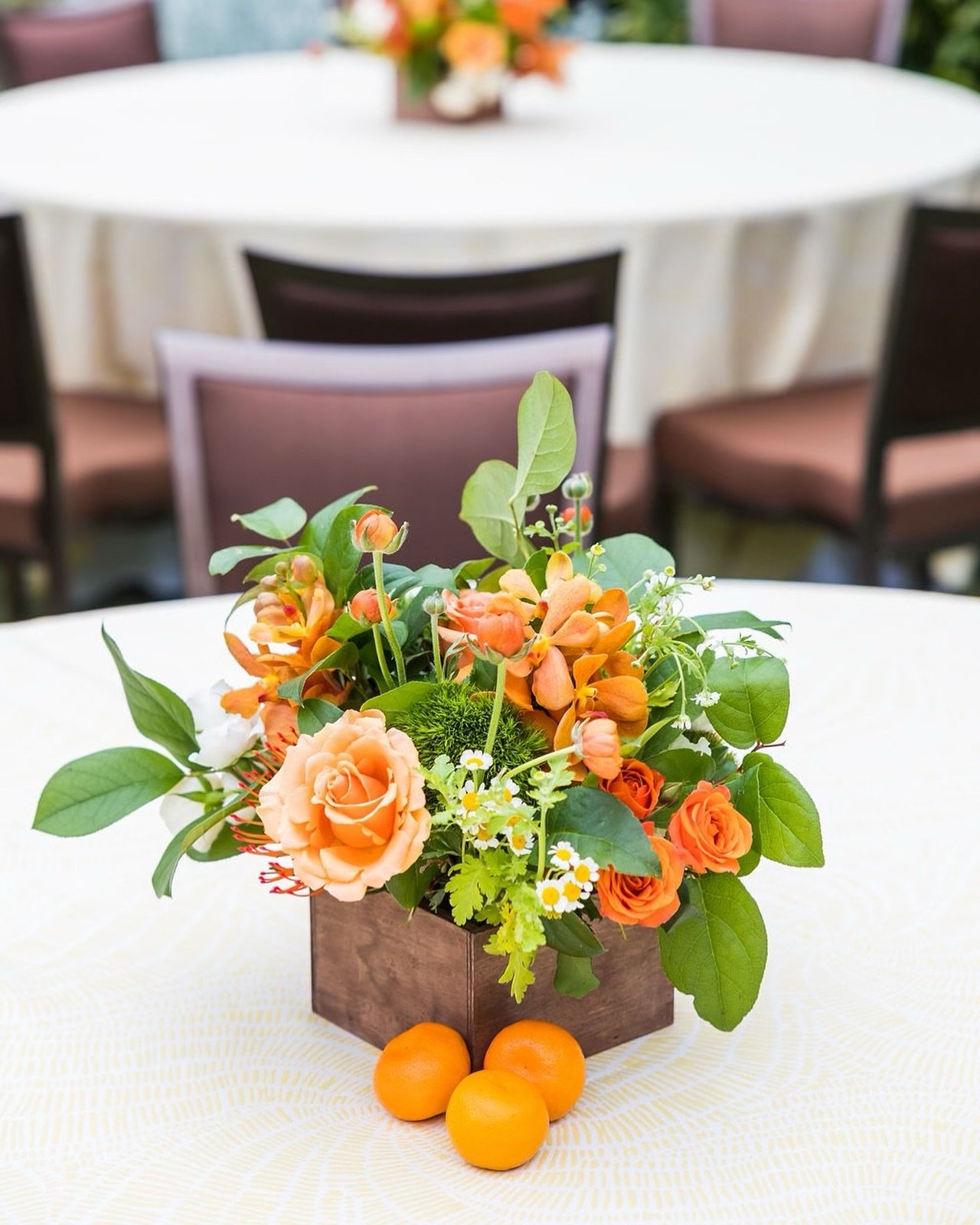 Bright ideas bloom in vibrant settings. 

Floral Design | @sevenstems 
DMC Partner | @360dg_sandiego 
Venue | @delcoronado 
Linens | @luxe_linen 

#floraldesign #eventconsultant #eventplanner #floraldesigner