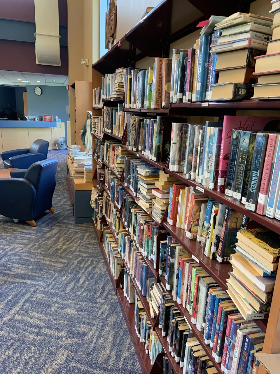 library with rugs1.jpg