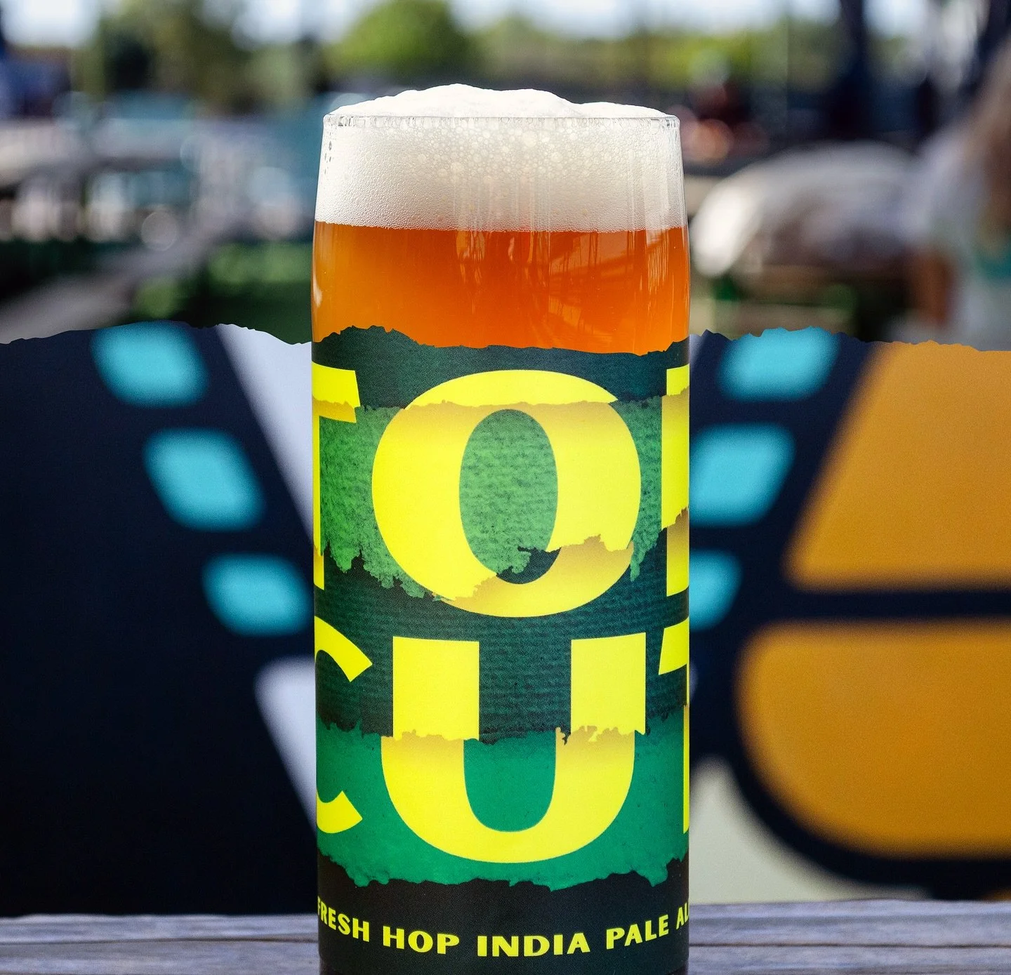 โจFRESH HOPS ON THE BOARD!โจ
๐๐๐ ๐๐๐: ๐๐๐๐ ๐๐๐ซ๐ฏ๐๐ฌ๐ญ / Fresh Hop IPA / 6.5% ABV
We’re celebrating the 2025 hop harvest with the return of our seasonal fresh hop IPA, courtesy our friends @crosbyhops. This year’s batch