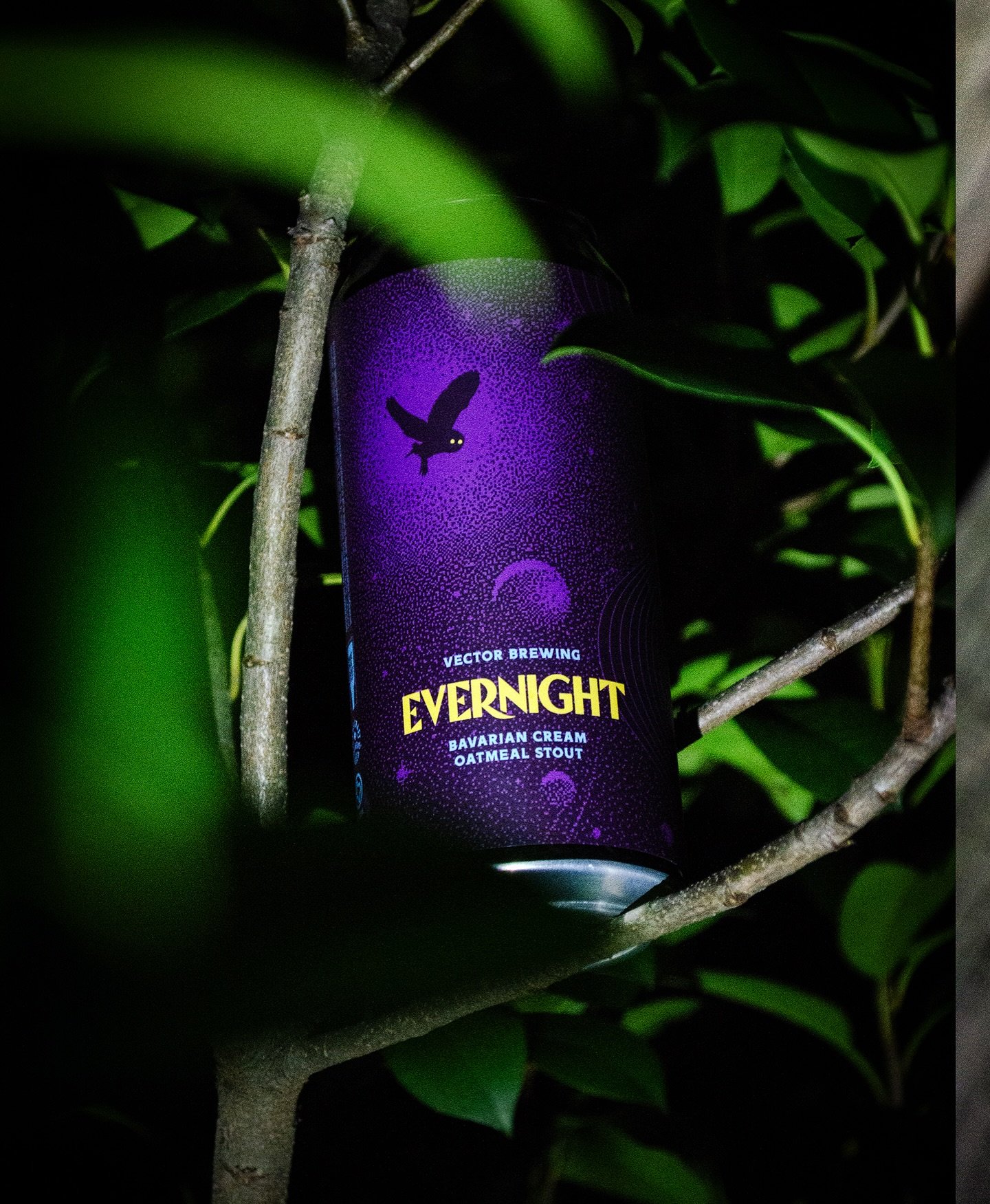 🌙 𝑬𝑽𝑬𝑹𝑵𝑰𝑮𝑯𝑻🦉 Bavarian Cream Oatmeal Stout / 8.1% ABV

In the hush of the midnight hour, Evernight awakens. This Bavarian Cream Oatmeal Stout wraps you in velvet darkness&mdash;smooth, decadent, and quietly indulgent. Layers of roasted malt