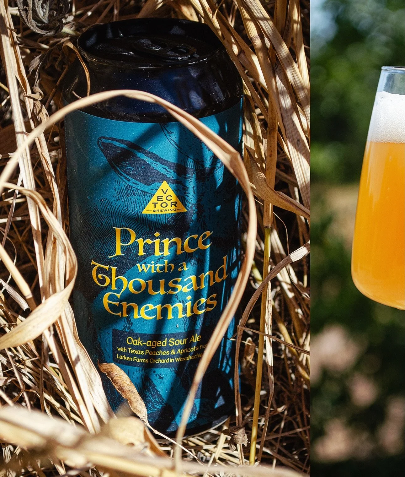 &ldquo;Be cunning and full of tricks and your people shall never be destroyed.&rdquo;🐇

𝐏𝐫𝐢𝐧𝐜𝐞 𝐰𝐢𝐭𝐡 𝐚 𝐓𝐡𝐨𝐮𝐬𝐚𝐧𝐝 𝐄𝐧𝐞𝐦𝐢𝐞𝐬 🍑 Oak-aged Sour Ale w/ TX peaches &amp; apricots / 6% ABV

Inspired by the classic novel Watership Down
