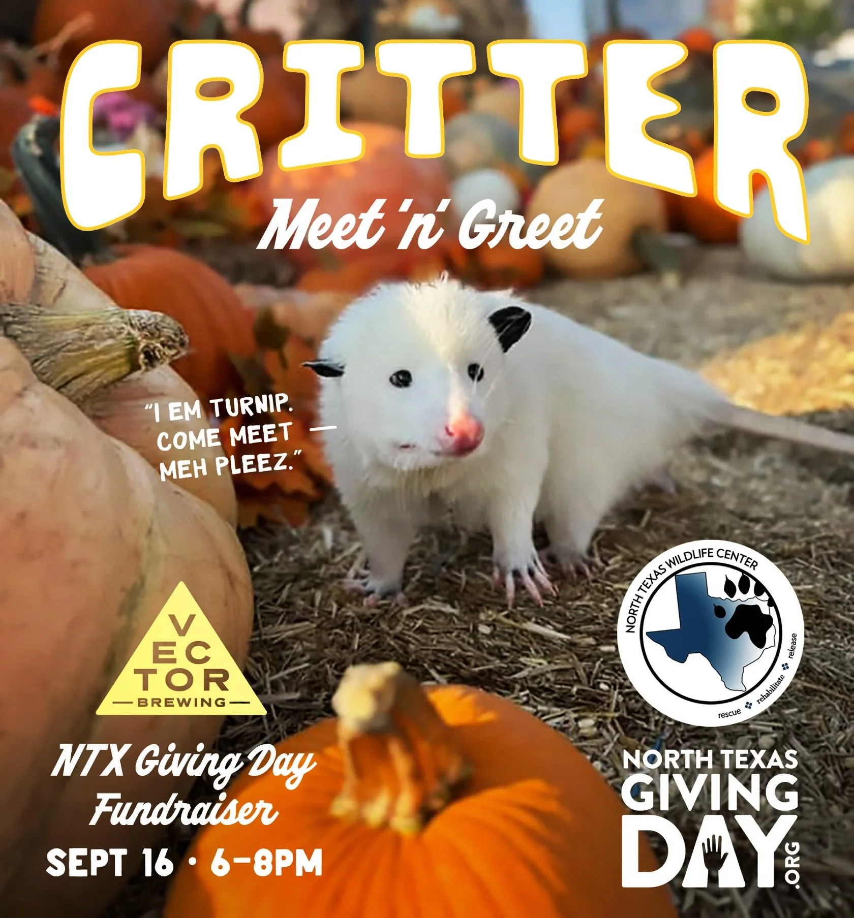 Join us tomorrow, Sept. 16, on the patio from 6-8pm as we celebrate&nbsp;@northtexasgivingday&nbsp;with our pals from&nbsp;@northtexaswildlifecenter&nbsp;for a little Critter Meet &amp; Greet!🐾

We&rsquo;ll be hosting a fundraiser for them in suppor