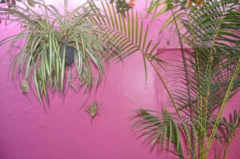 Oaxaca 8.jpeg