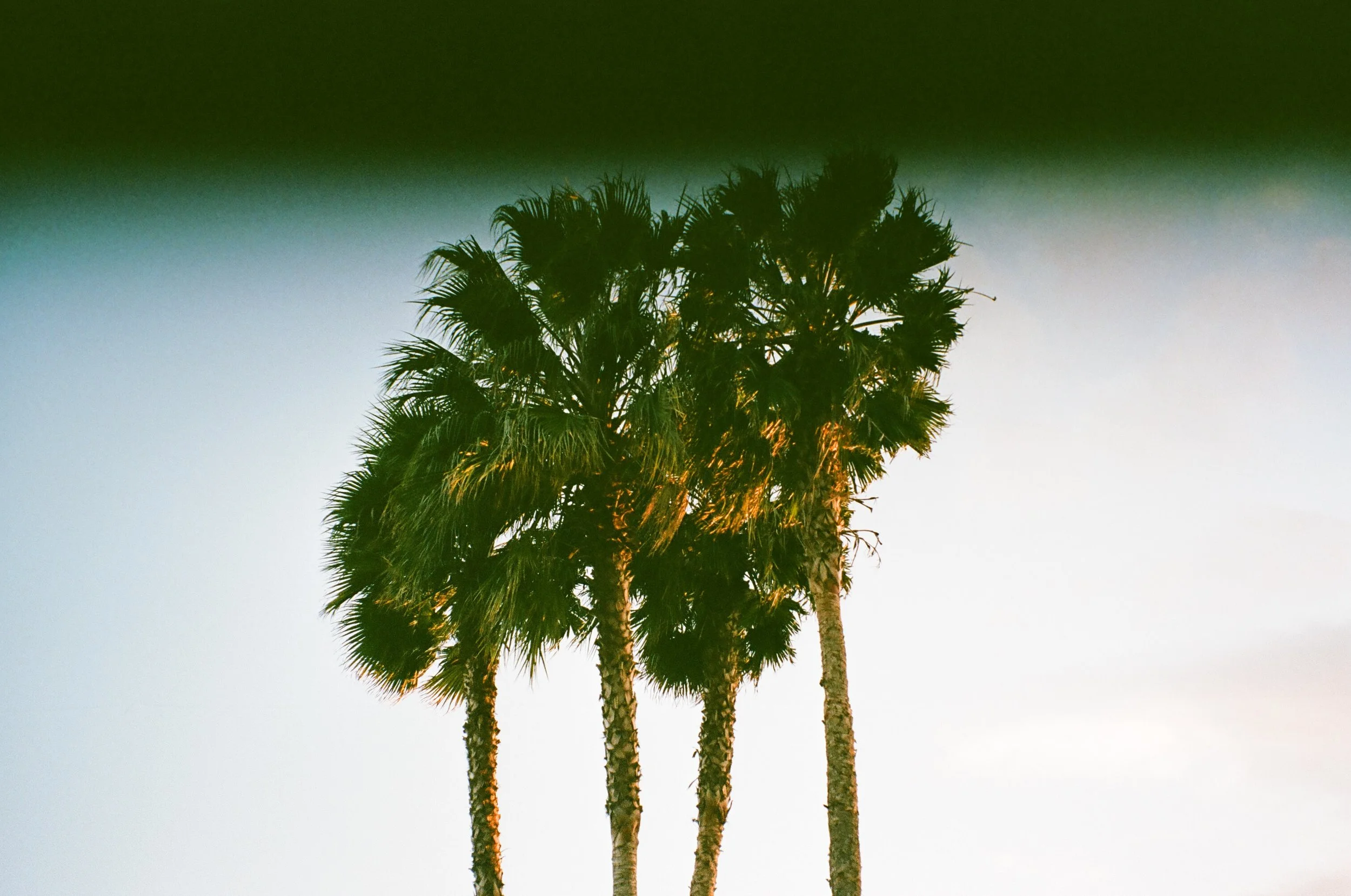 Bow Down, the Queen of Festivals is Here