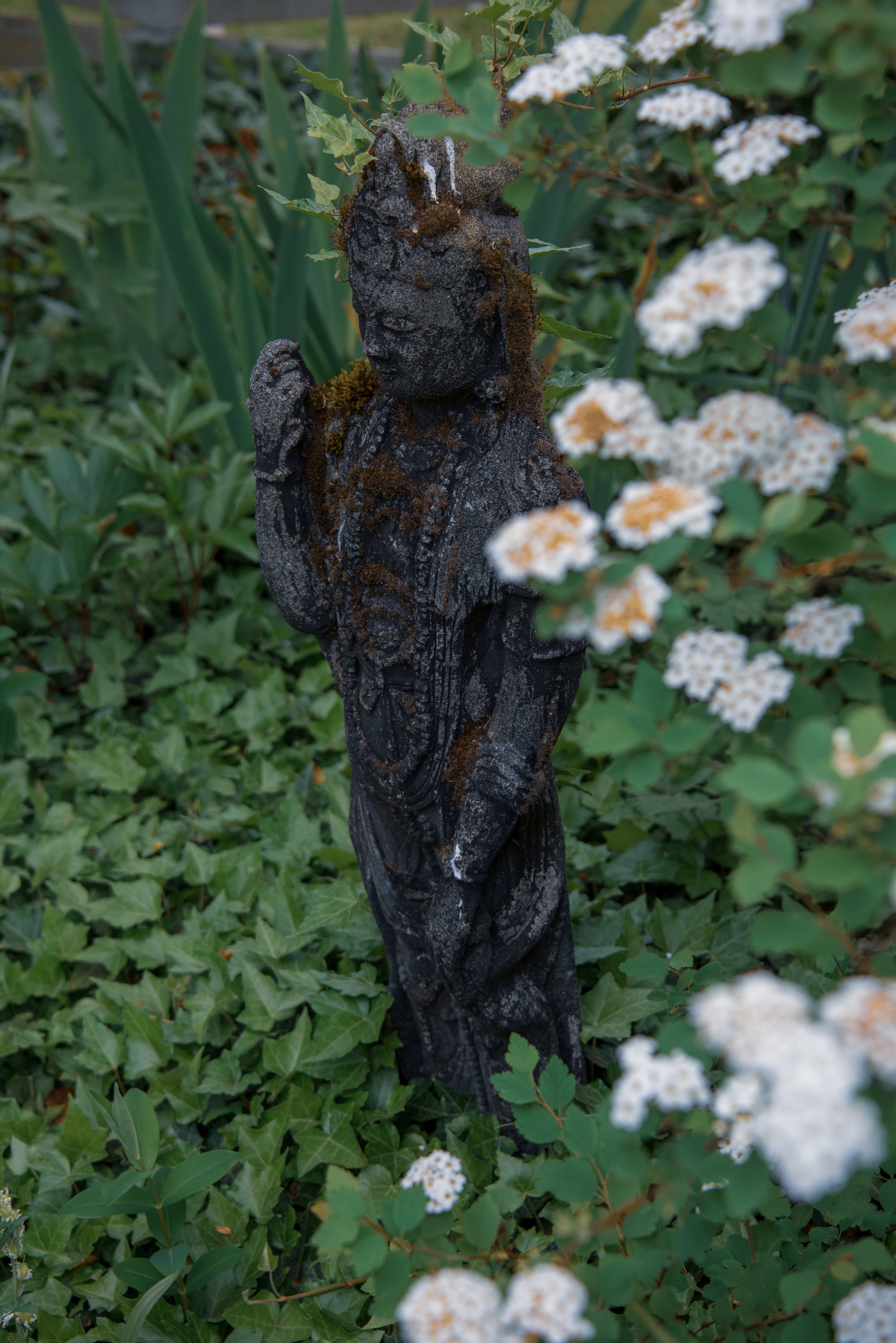 DSC_5122.jpg