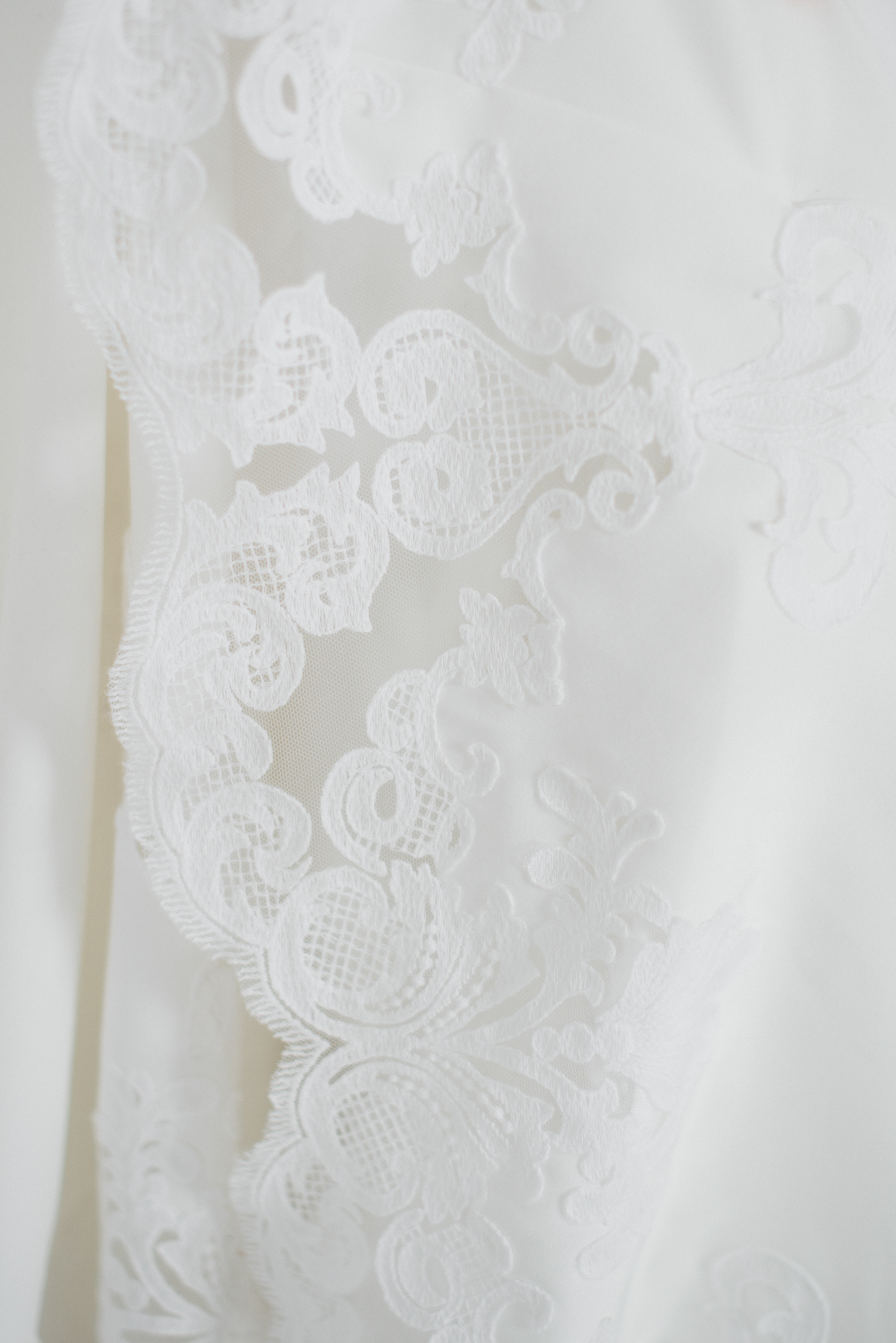 Desiree Wedding Dress | Sheath Wedding Gown: Lyra Vega Bridal