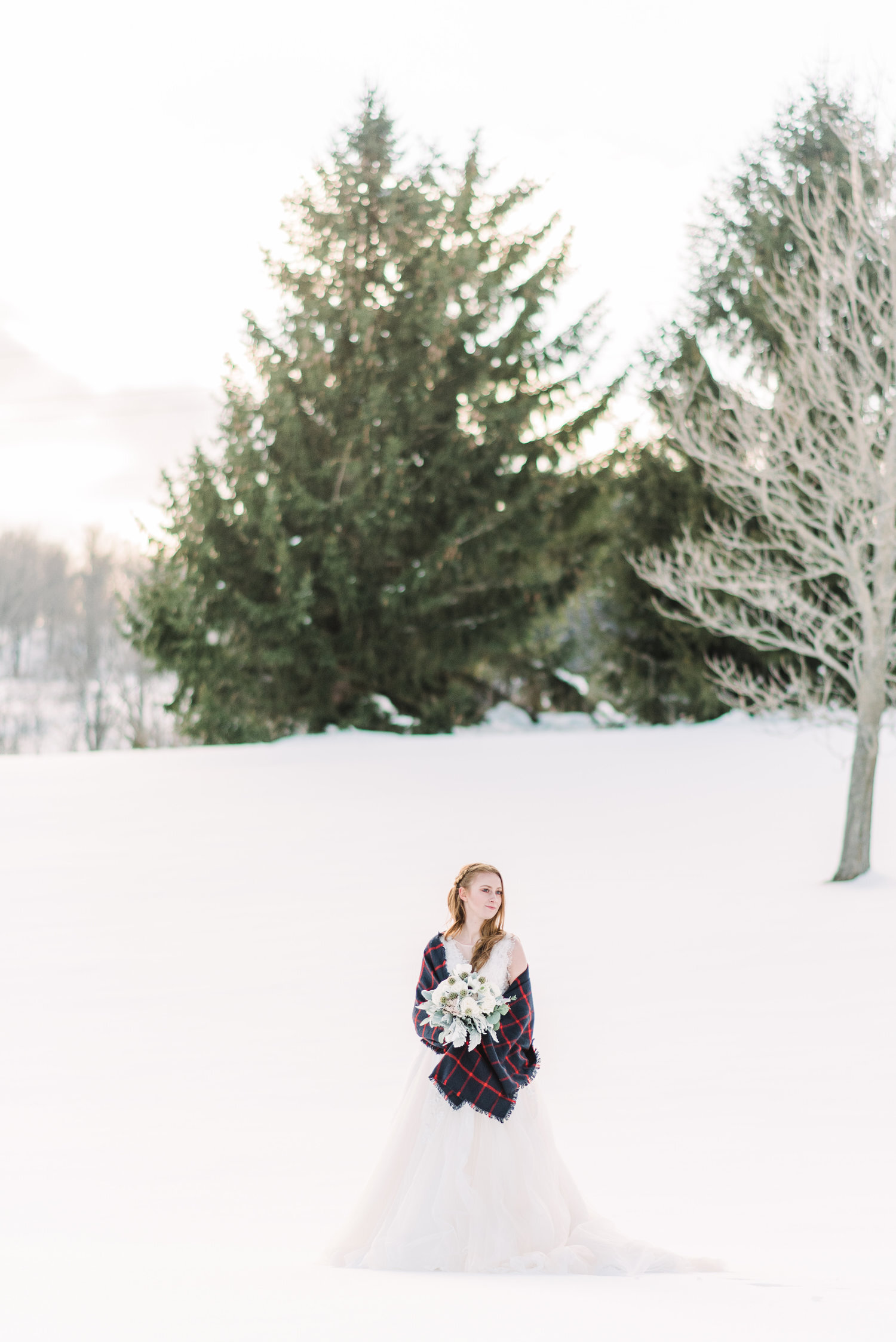  WINTER WONDERLAND  