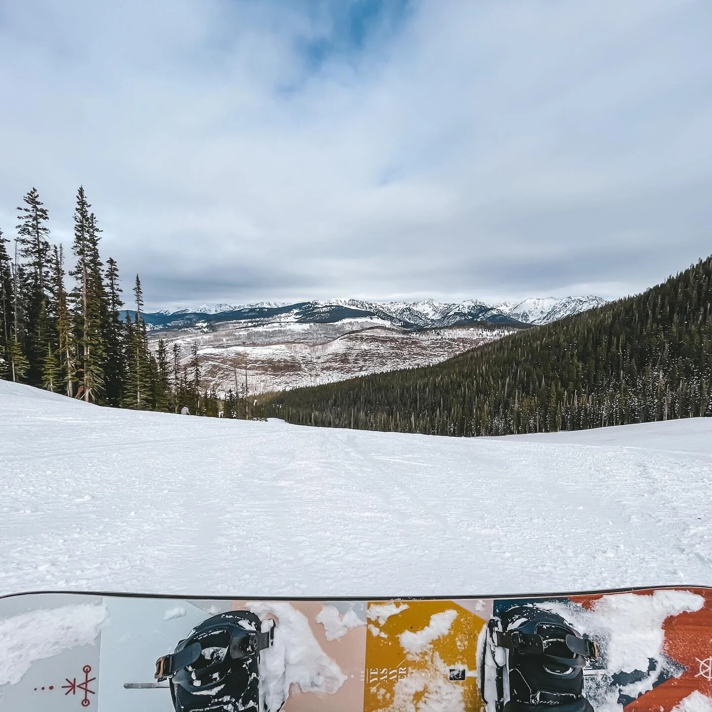 would you look at thooooose!