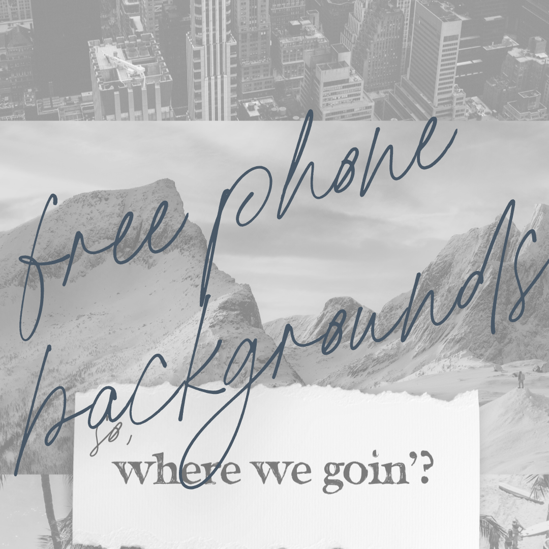 take the trip (2).png