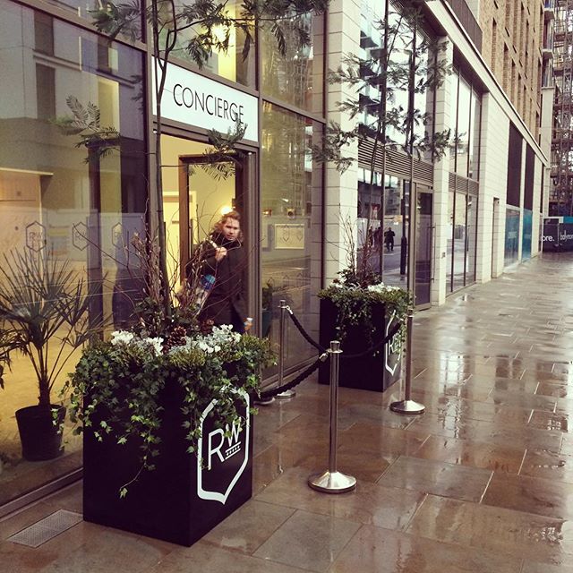 Loam rangers hit London today and bring a little festive Joy to the people of Royal Wharf. Merry Christmas!  #royalwharf #ballymore #christmasplanters #festive