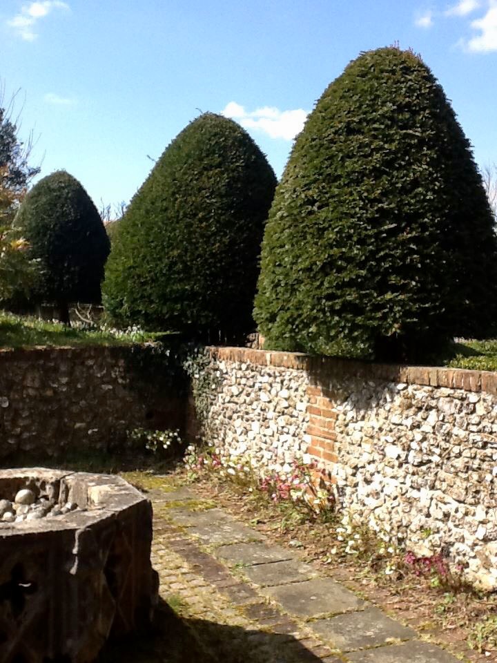 IMG_0288.jpeg