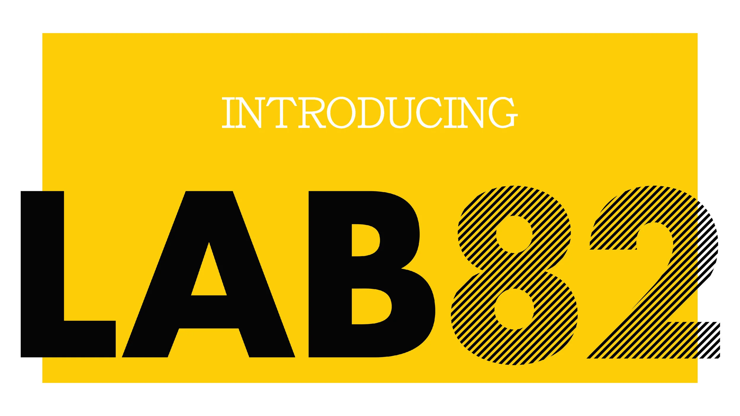 Adobe LAB82 v1_Page_05.jpg