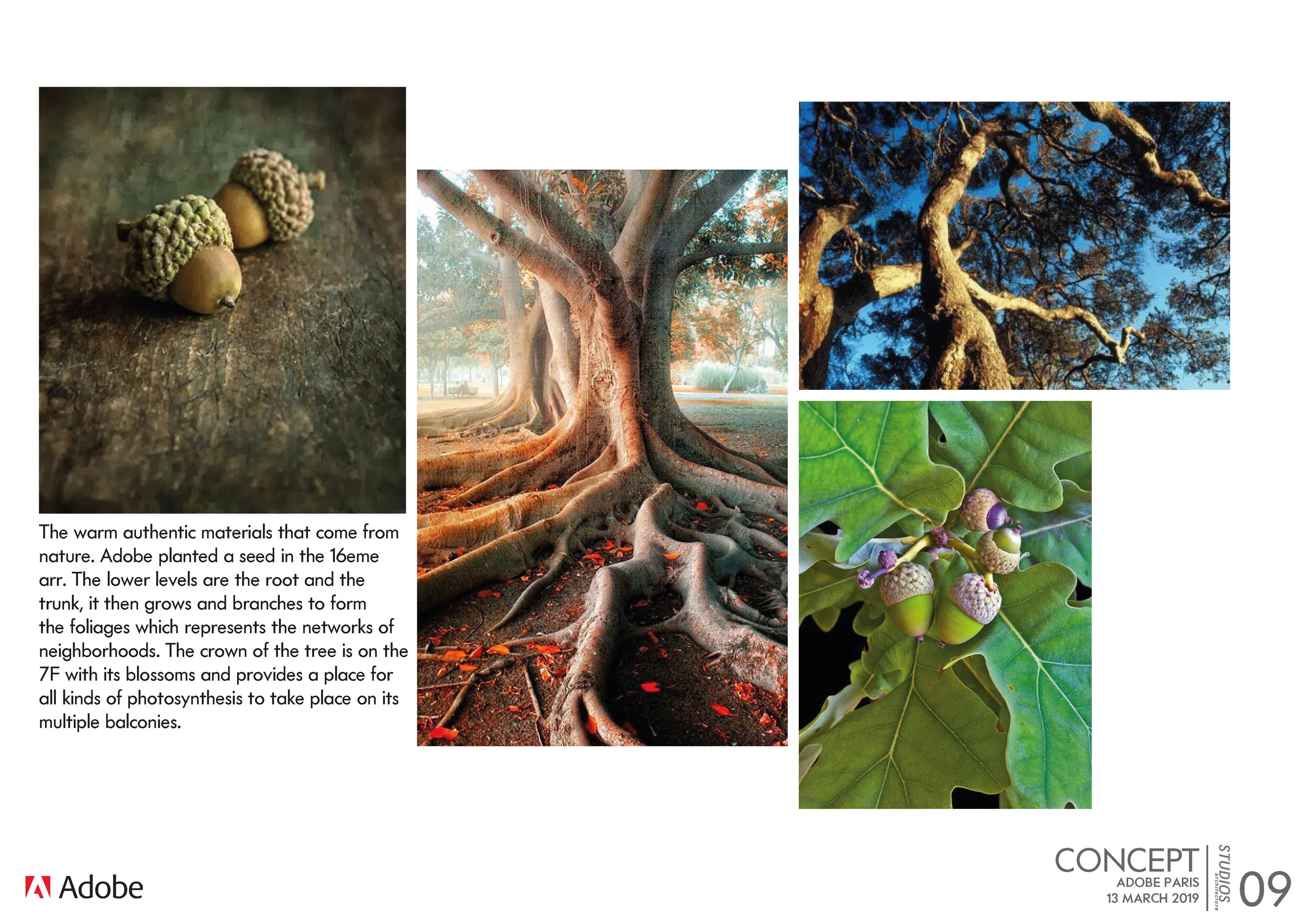 190314 APS V3_PORTFOLIO_Page_09.jpg