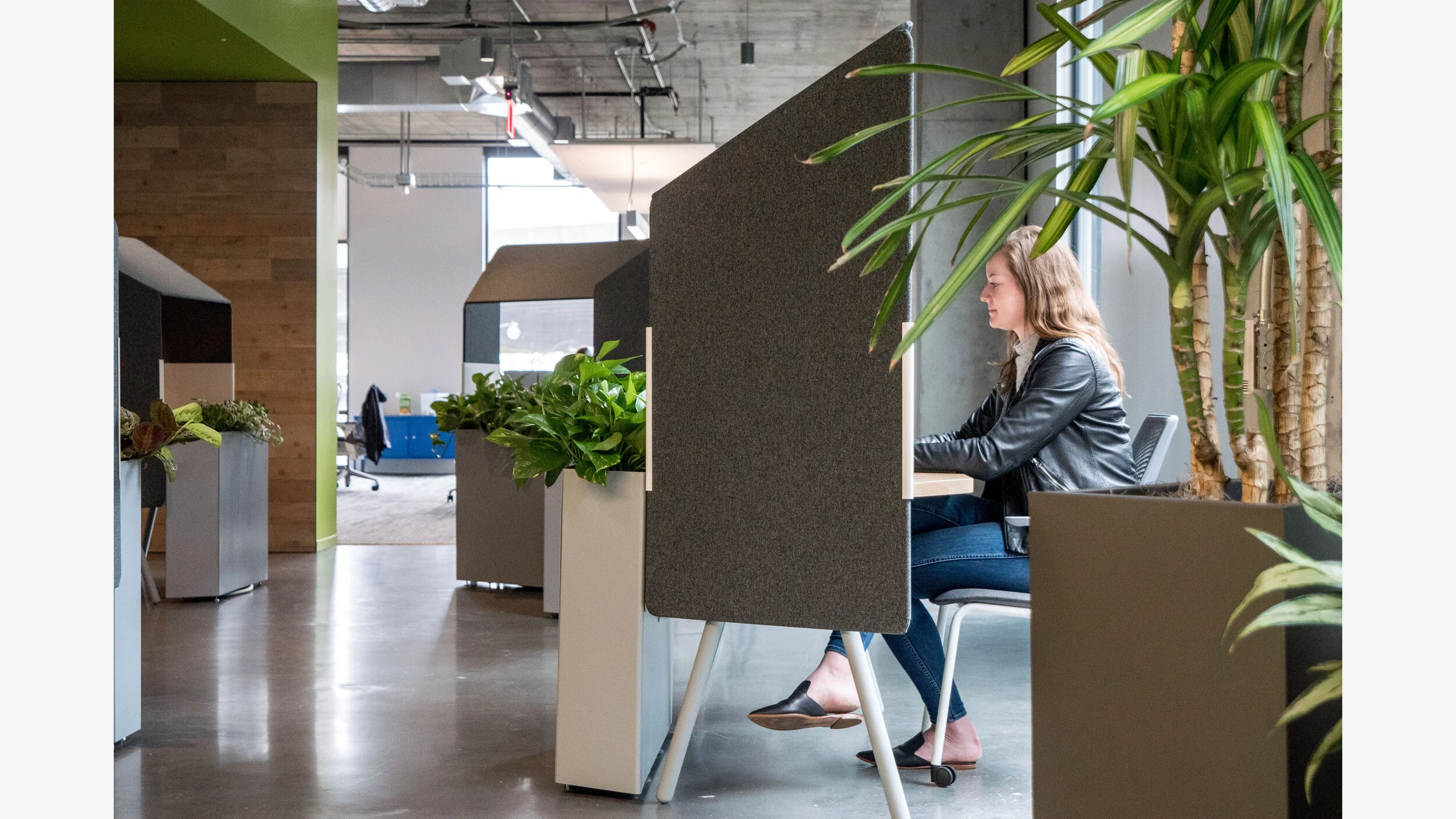 ADOBE APERTURE14.jpg