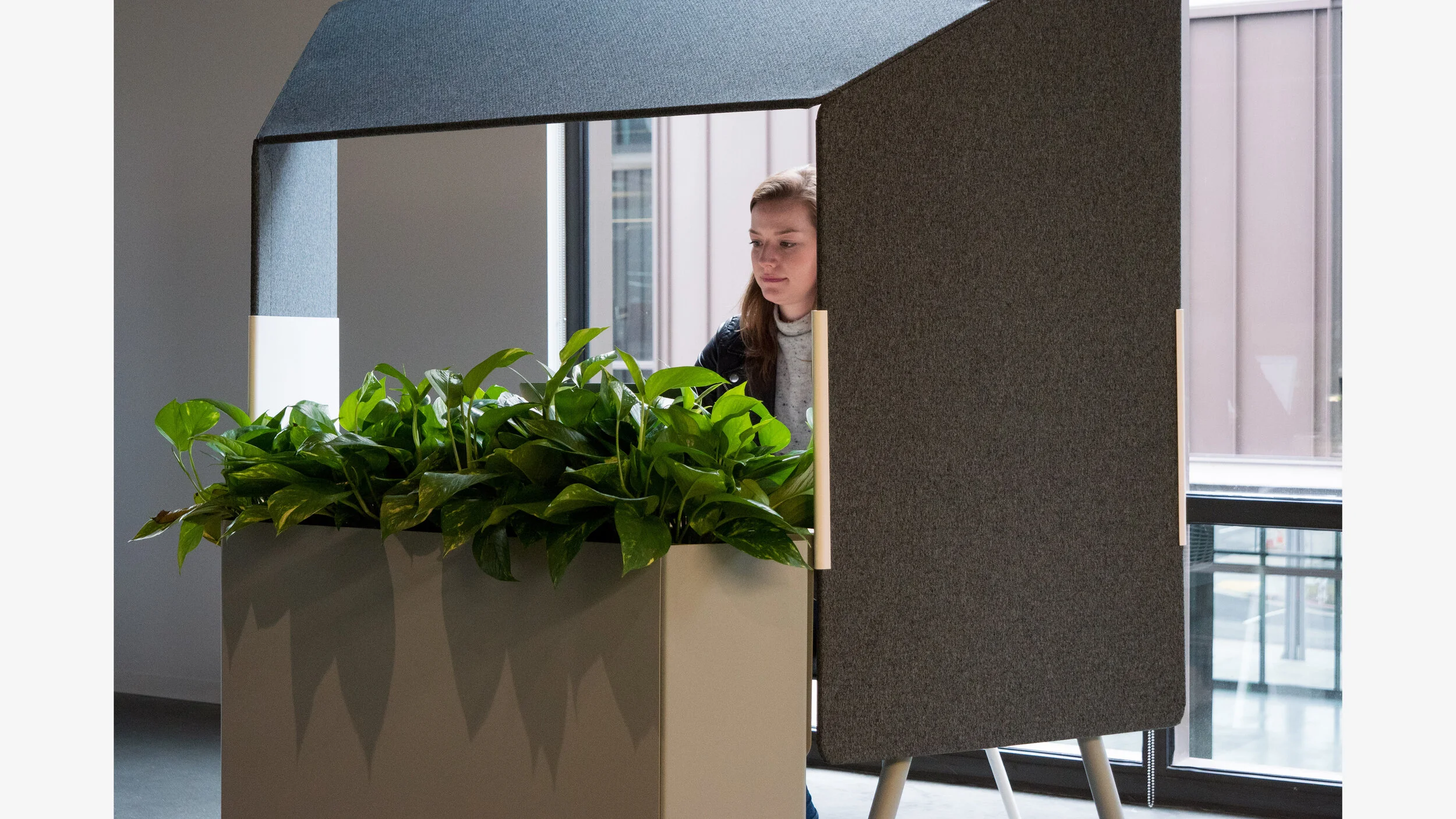 ADOBE APERTURE15.jpg