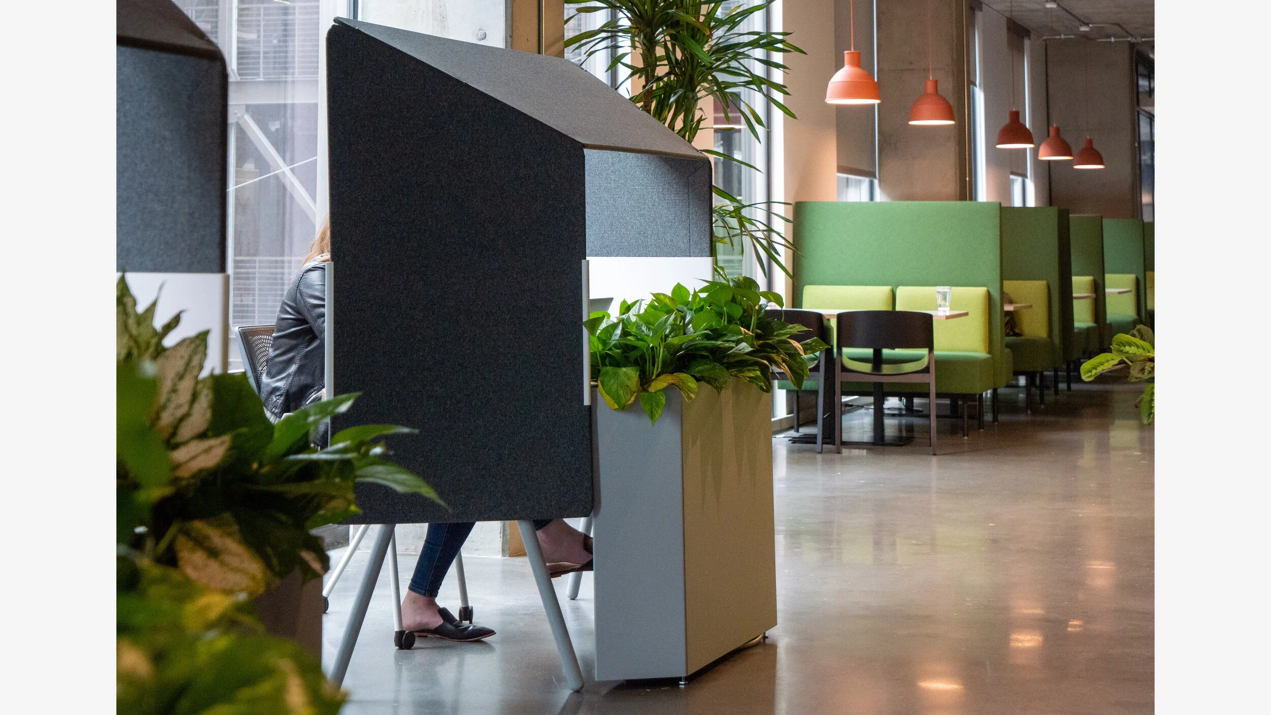 ADOBE APERTURE16.jpg