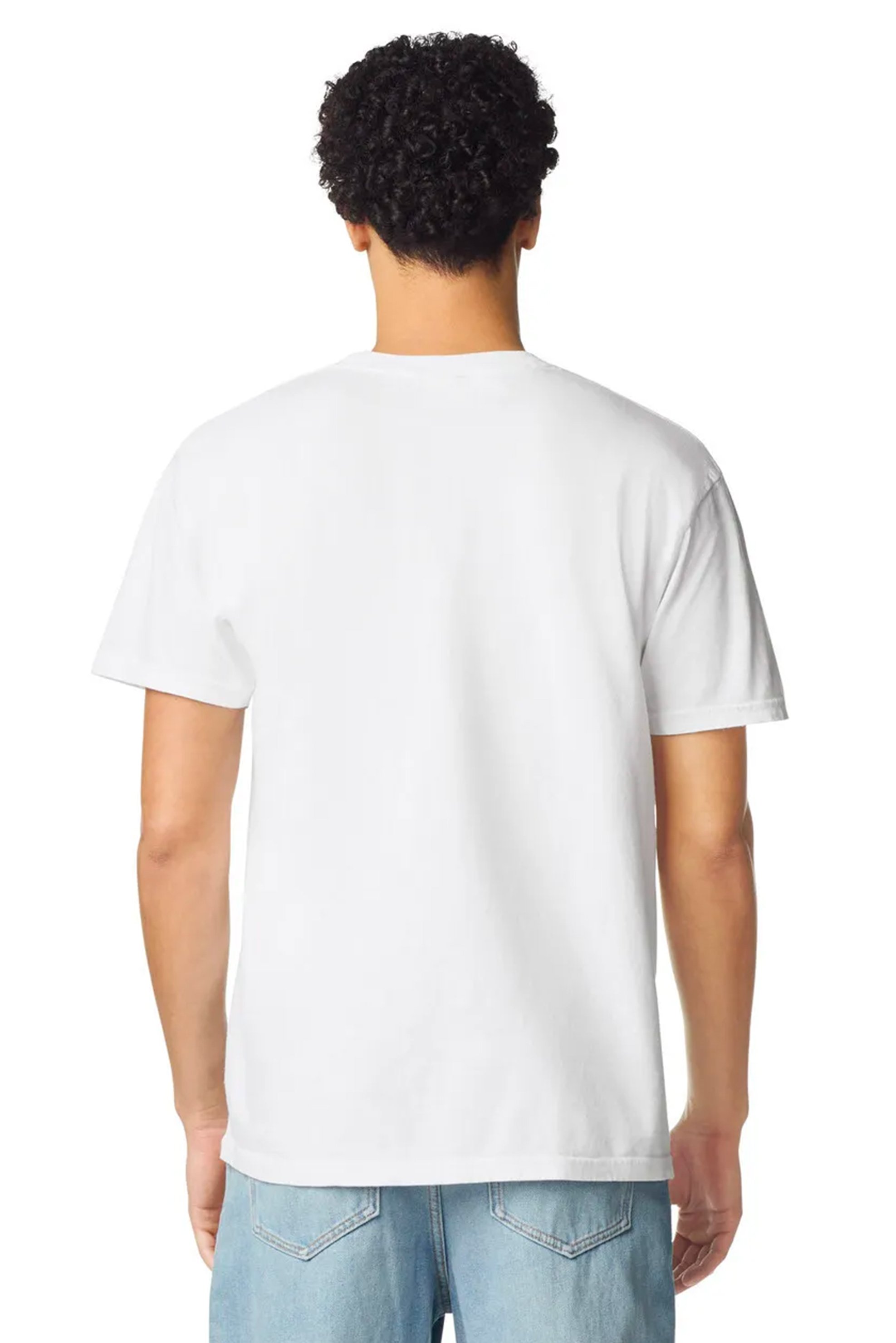 IH_ASF-white_mockup_back.jpg