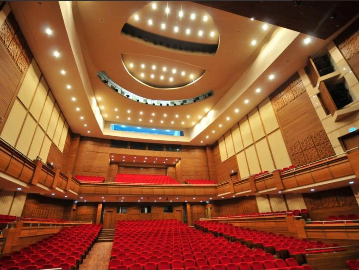 Concert with the Izmir State Symphony Orchestra