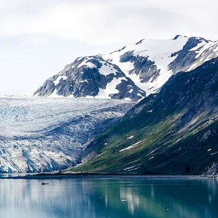 carnival-alaska-port-glacier-bay-1.jpg