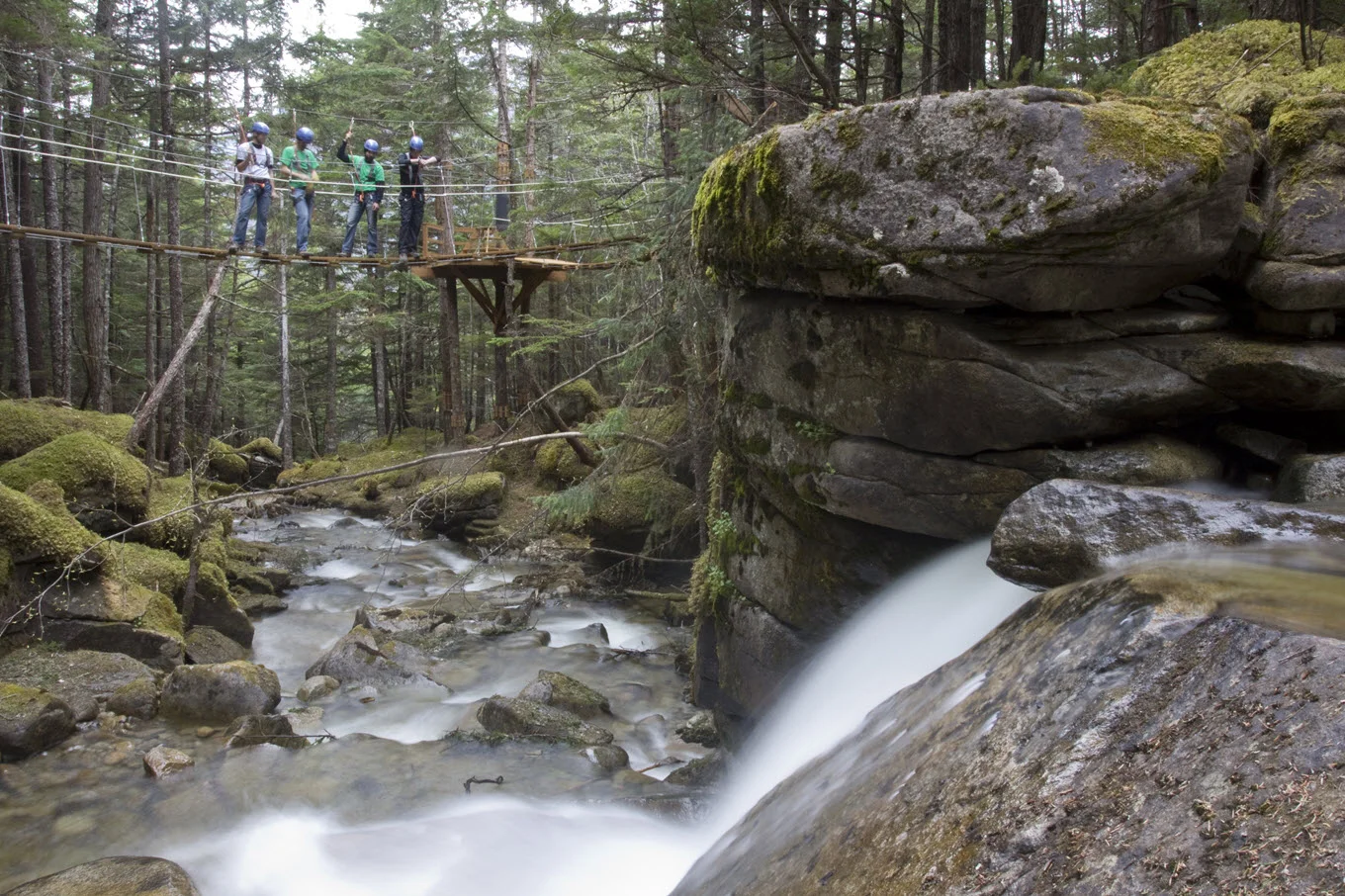 Grizzly Falls Zipline in Skagway 3 jpg.jpg