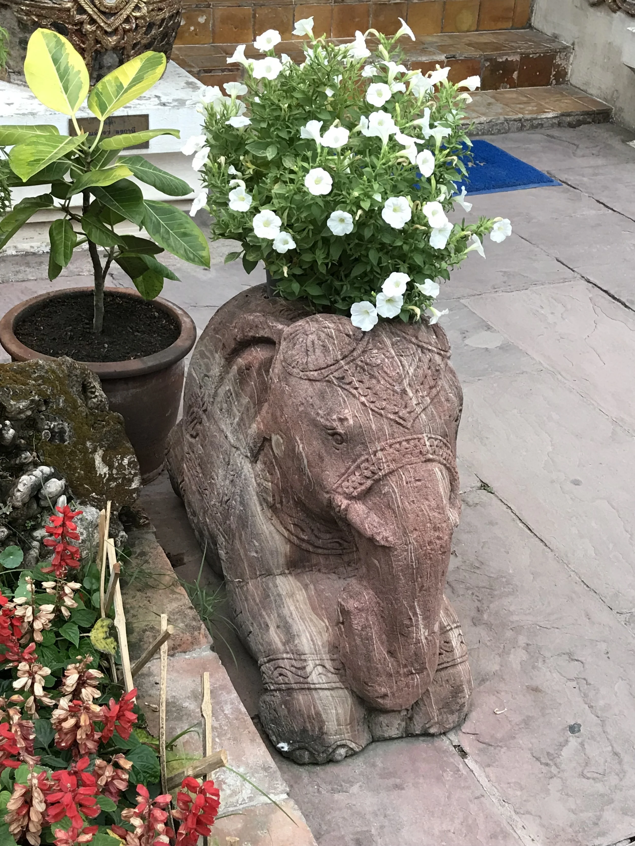 Forgiveness by Julie Pate