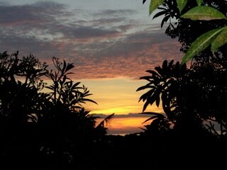 Bali, Borneo, &amp; Borobudur