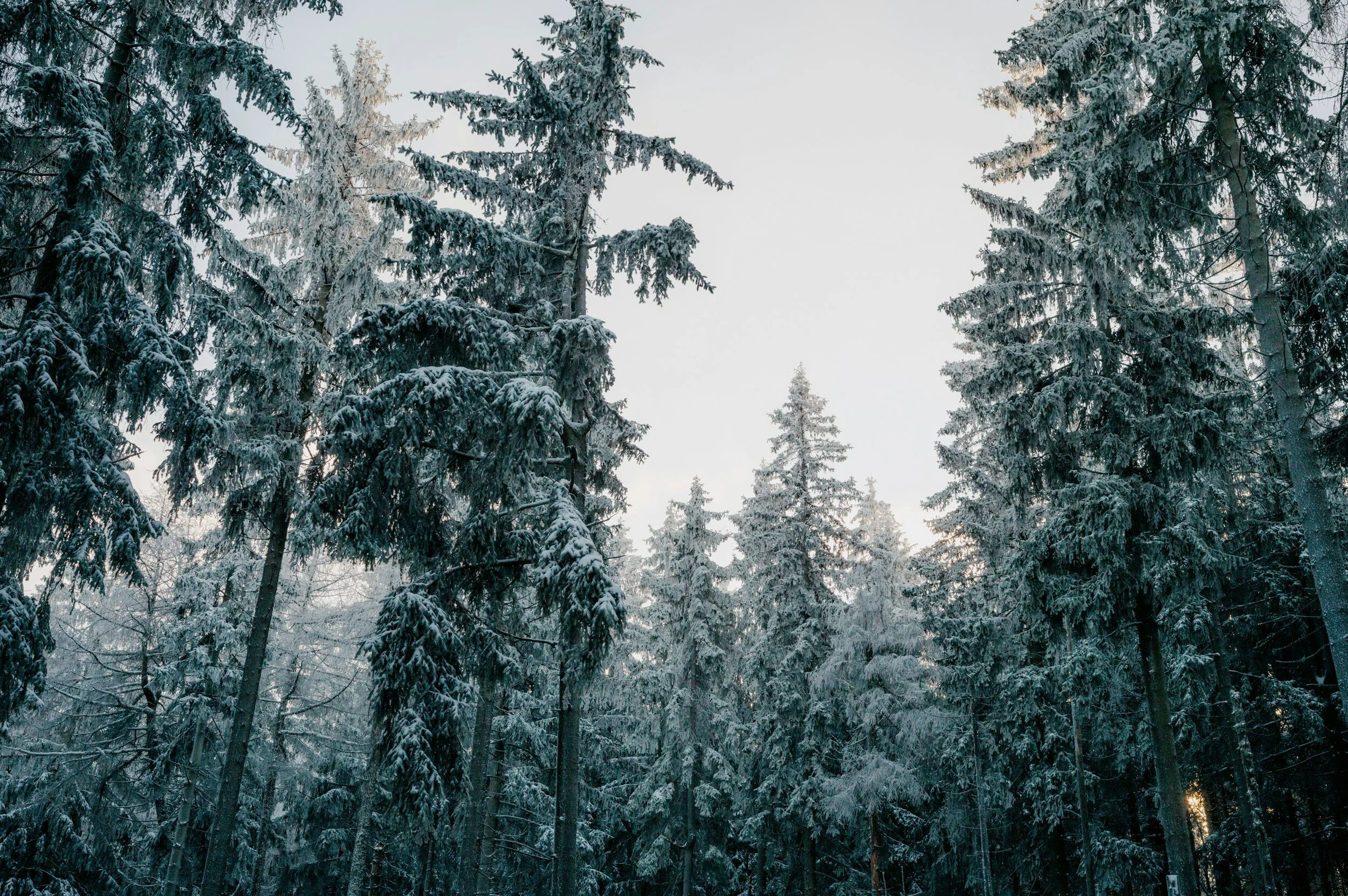 The Benefits of Yoga Therapy for Chronic Pain Management