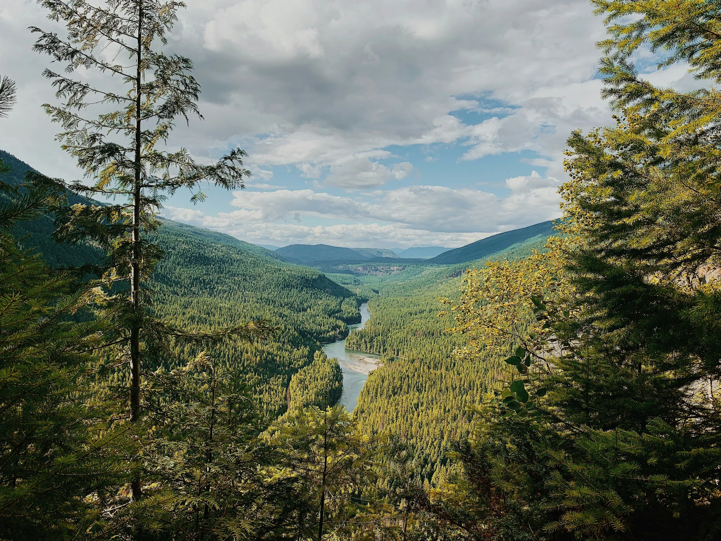 Yoga Therapy for Arthritis