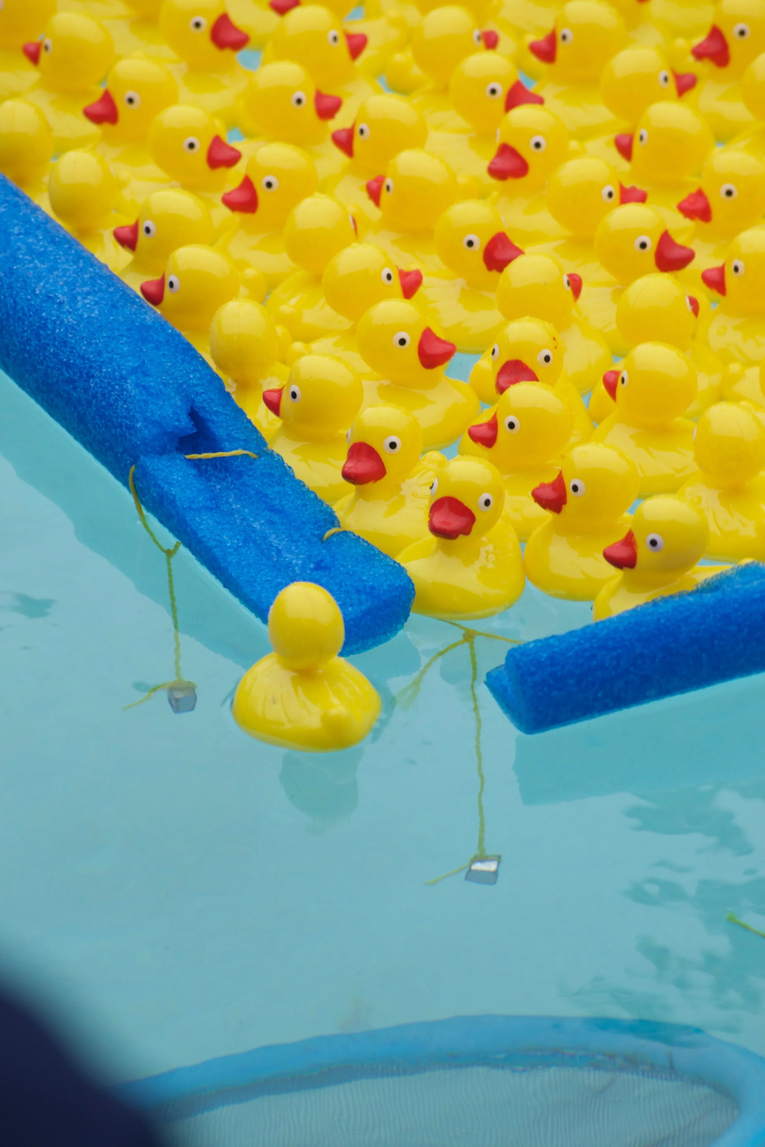Rubber Duck Race - 44.jpg