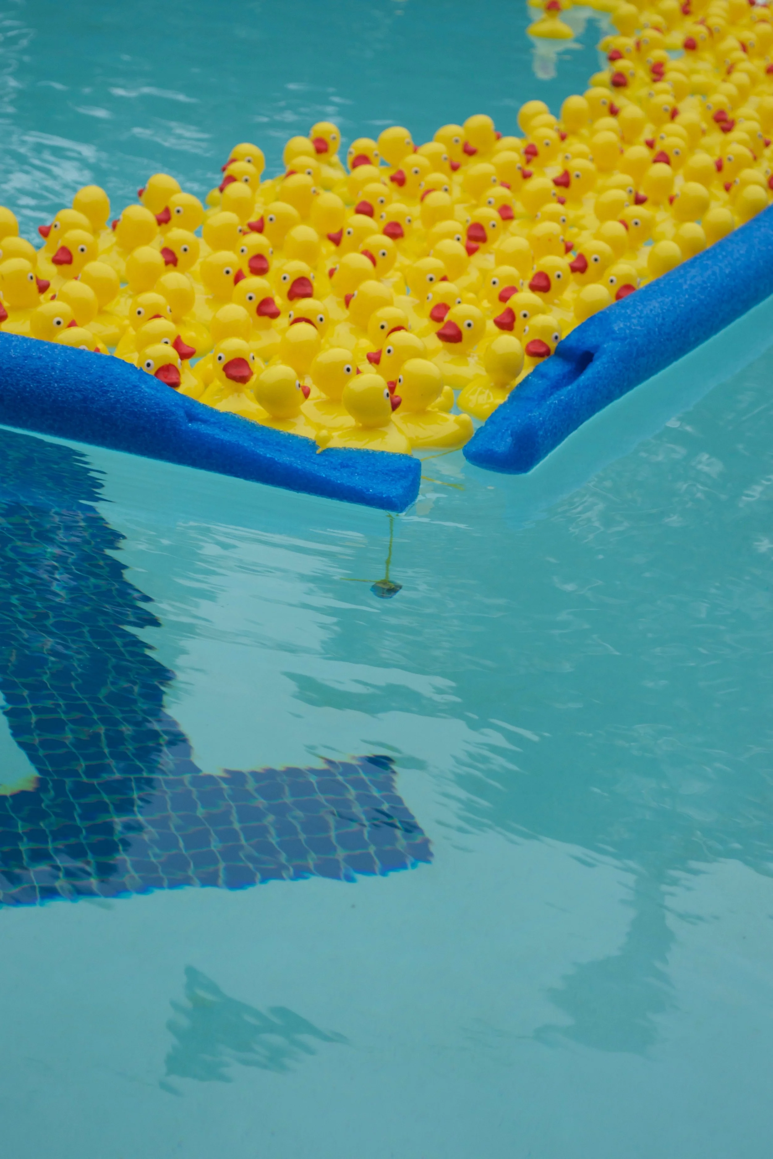 Rubber Duck Race - 75.jpg