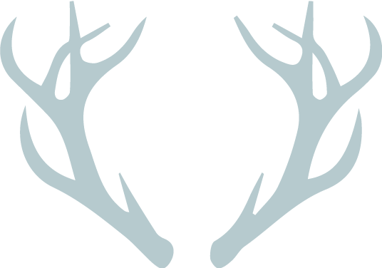 Blue-Antlers.png
